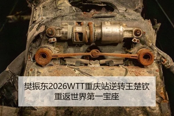 fan-zhen-dong-chong-qing-zhan-ni-zhuan-wang-chu-qin-chong-fan-shi-jie-di-yi-bao-zuo-2-336.jpg